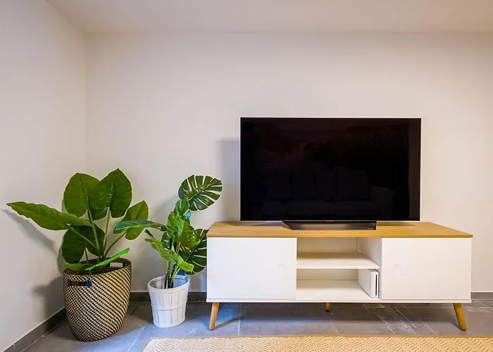 Louise 别墅 奥斯滕德